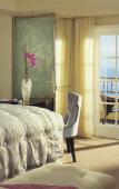 Туры в отель Ritz-Carlton Laguna Niguel Туры в отель Ritz-Carlton Laguna Niguel