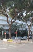Туры в отель Riu Concordia Туры в отель Riu Concordia
