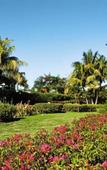 Туры в отель Playabachata Resort Туры в отель Playabachata Resort