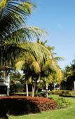 Туры в отель Playabachata Resort Туры в отель Playabachata Resort