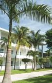 Туры в отель Hotel Riu Playacar Туры в отель Hotel Riu Playacar