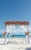 Туры в отель Hotel Riu Playacar Туры в отель Hotel Riu Playacar
