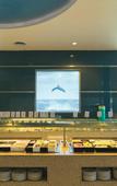 Туры в отель Hotel Riu Playacar Туры в отель Hotel Riu Playacar