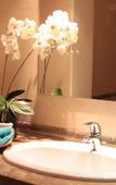 Туры в отель River Beach Туры в отель River Beach