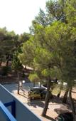 Туры в отель Rivijera Sunny Resort by Valamar Туры в отель Rivijera Sunny Resort by Valamar