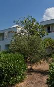 Туры в отель Rivijera Sunny Resort by Valamar Туры в отель Rivijera Sunny Resort by Valamar