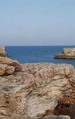 Туры в отель TUI BLUE Rocador Туры в отель TUI BLUE Rocador