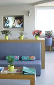 Туры в отель Rhodian Rose Hotel Туры в отель Rhodian Rose Hotel