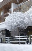 Туры в отель Royal Appartements Soelden Туры в отель Royal Appartements Soelden