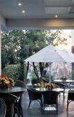 Туры в отель Hotel Royal Reforma Туры в отель Hotel Royal Reforma