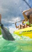 Туры в отель Sandals Carlyle Inn Туры в отель Sandals Carlyle Inn