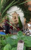 Туры в отель Santa Lucia Туры в отель Santa Lucia
