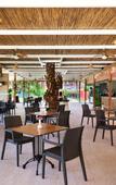 Туры в отель Amara Family Resort Туры в отель Amara Family Resort