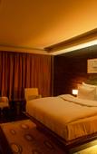 Туры в отель SAYEN International Hotel Туры в отель SAYEN International Hotel