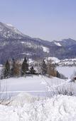 Туры в отель Schutzenhof Туры в отель Schutzenhof