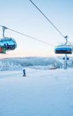 Туры в отель Seidl Туры в отель Seidl