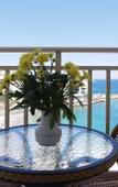 Туры в отель Kitro Beach hotel Туры в отель Kitro Beach hotel