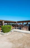 Туры в отель Shams Alam Beach Resort Туры в отель Shams Alam Beach Resort