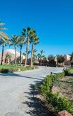 Туры в отель Shams Alam Beach Resort Туры в отель Shams Alam Beach Resort