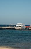 Туры в отель Shams Alam Beach Resort Туры в отель Shams Alam Beach Resort