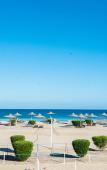 Туры в отель Shams Alam Beach Resort Туры в отель Shams Alam Beach Resort