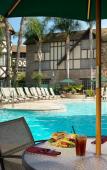 Туры в отель Sheraton Anaheim Туры в отель Sheraton Anaheim