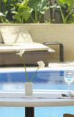 Туры в отель Sheraton Casablanca Туры в отель Sheraton Casablanca