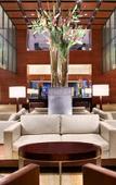 Туры в отель Hilton Mexico City Reforma Туры в отель Hilton Mexico City Reforma