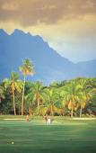 Туры в отель Sheraton Fiji Resort Туры в отель Sheraton Fiji Resort