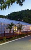 Туры в отель Sheraton Fiji Resort Туры в отель Sheraton Fiji Resort