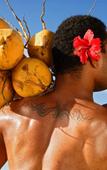 Туры в отель Sheraton Fiji Resort Туры в отель Sheraton Fiji Resort