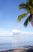 Туры в отель Sheraton Fiji Resort Туры в отель Sheraton Fiji Resort