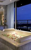 Туры в отель Sheraton Park Tower Туры в отель Sheraton Park Tower