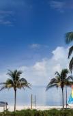 Туры в отель Sheraton Suites Key West Туры в отель Sheraton Suites Key West