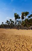 Туры в отель Grand Sirenis Punta Cana Resort Casino & Aquagames Туры в отель Grand Sirenis Punta Cana Resort Casino & Aquagames