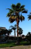 Туры в отель La PLaya Beach Resort Туры в отель La PLaya Beach Resort