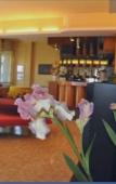 Туры в отель Sorriso Hotel Numana Туры в отель Sorriso Hotel Numana