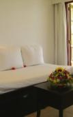 Туры в отель Sosua by the Sea Boutique Beach Resort Туры в отель Sosua by the Sea Boutique Beach Resort