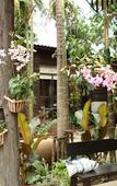 Туры в отель Sri Ping Resort Туры в отель Sri Ping Resort