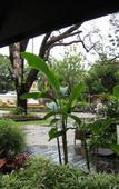Туры в отель Sri Ping Resort Туры в отель Sri Ping Resort