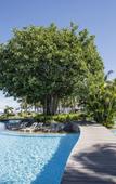 Туры в отель Sugar Beach Golf & Spa Resort Туры в отель Sugar Beach Golf & Spa Resort