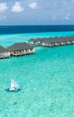 Туры в отель Summer Island Maldives Туры в отель Summer Island Maldives