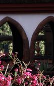 Туры в отель Pride Sun Village Resort Spa Туры в отель Pride Sun Village Resort Spa