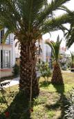 Туры в отель Sun Club Bodrum Gumbet Туры в отель Sun Club Bodrum Gumbet