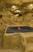 Туры в отель Bomo Sunrise Hotel Park & Spa Туры в отель Bomo Sunrise Hotel Park & Spa