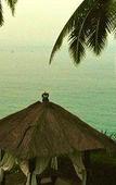 Туры в отель Niraamaya Retreats Surya Samudra - Kovalam Туры в отель Niraamaya Retreats Surya Samudra - Kovalam