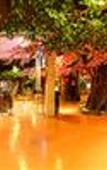 Туры в отель Sweetland Туры в отель Sweetland