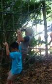 Туры в отель Swiss-Garden Beach Resort Damai Laut Туры в отель Swiss-Garden Beach Resort Damai Laut
