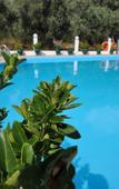 Туры в отель Hotel Sylvia Туры в отель Hotel Sylvia