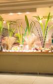 Туры в отель Tamassa All Inclusive Resort Туры в отель Tamassa All Inclusive Resort